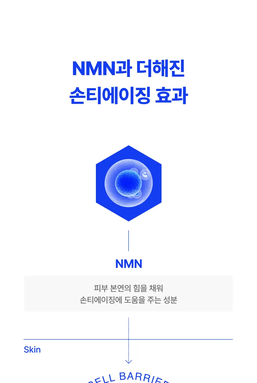 [5/8 하루특가/손티에이징] 에가 리제너레이터 핸드크림 (에센셜/어드밴스드) 상세페이지 59